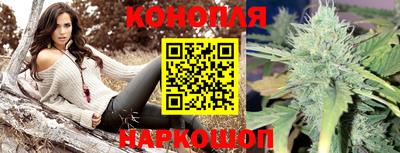 гидропоника Ипатово