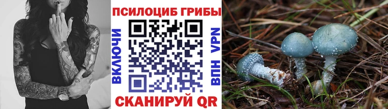 Галлюциногенные грибы мухоморы  дарнет шоп  Краснокаменск 