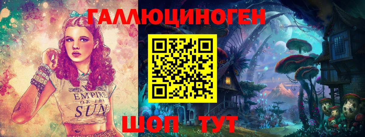 Галлюциногенные грибы Psilocybine cubensis Краснокаменск