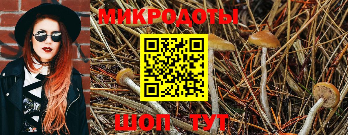 Галлюциногенные грибы прущие грибы  Вход с VPN  Краснокаменск 