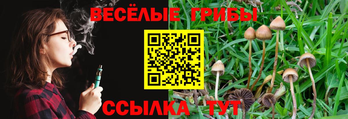 Псилоцибиновые грибы MAGIC MUSHROOMS Краснокаменск